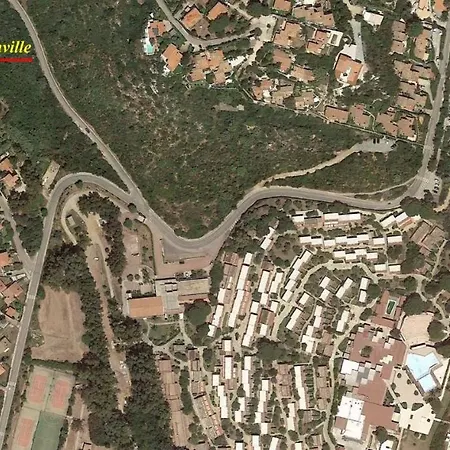 Bouganville *