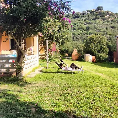 Apartment Bouganville *