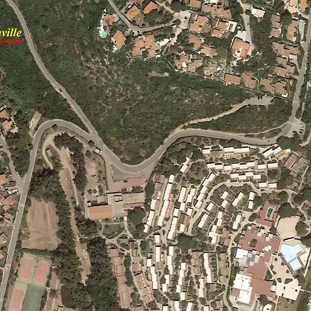 Bouganville *
